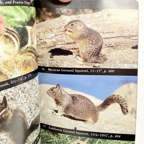 The Audubon Society Field Guide To North American Mammals - Picture 4 of 6